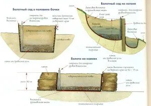 opțiuni