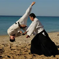 Aikido si Aiki-Jutsu - lecții video online