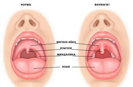 народни