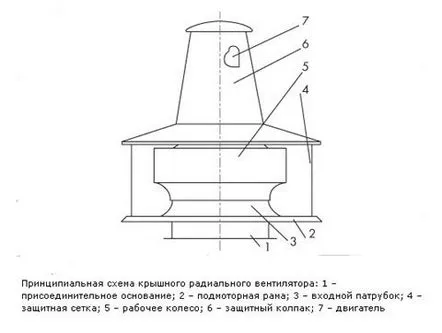 acoperiș