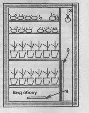 cultivarea