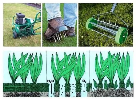 Aerator pentru gazon, iarba strălucitoare și groasă, fără probleme suplimentare