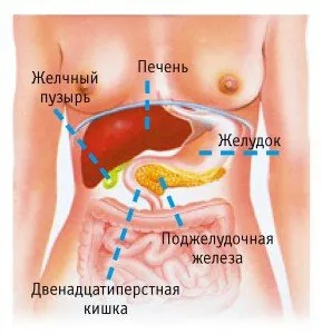 Tratamentul diferitelor boli ale pancreasului cu remedii populare