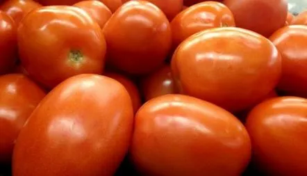 Tomate Adelina, descrierea soiului, caracteristici