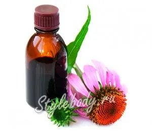 Aplicarea proprietăților medicinale ale tincturii de echinacea