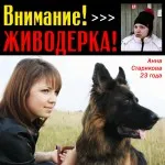 Благотворителна фондация Zoozaschita