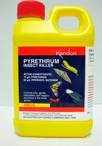 Pyrethrum împotriva puricilor, descriere, caracteristici de utilizare, eficacitate, recenzii