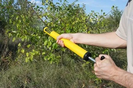 Pulverizarea pomilor fructiferi - cum să pulverizați pomii fructiferi primăvara