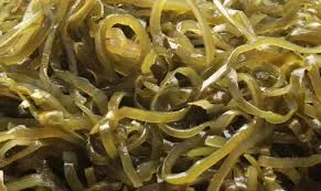 Kelp este un tezaur de elemente utile