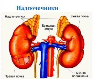 Simptomele feocromocitomului, diagnostic și tratament