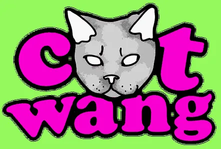 Catwang pe computer pentru a crea fotografii originale