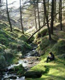 Lecții de bază de supraviețuire în pădure cum să supraviețuiești în pădure fără hrană