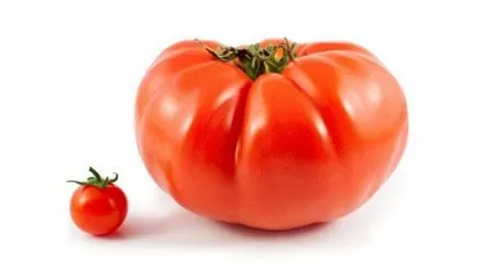 tomato