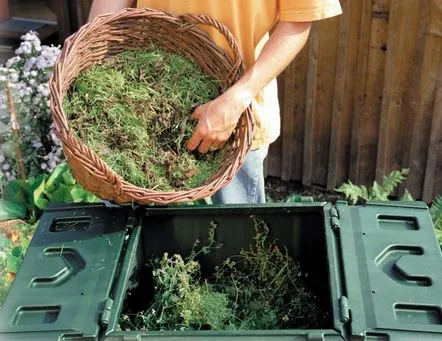 Îngrijirea grădinii și a grădinii de legume prin mijloace naturale