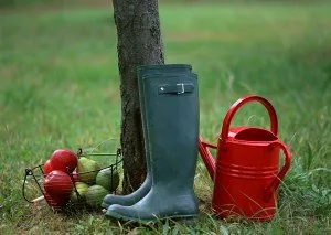 Munca la tara in septembrie si semne de toamna