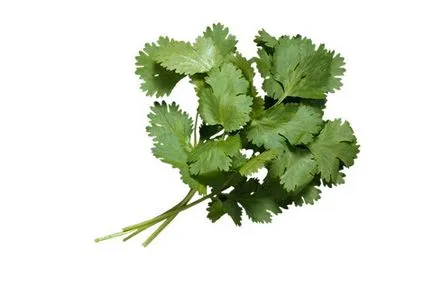 Cilantro este benefic și dăunează sănătății bărbaților și femeilor