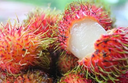 Rambutan, fructele consumate, beneficii și dăunătoare