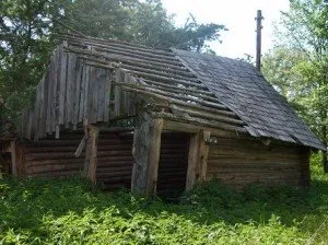 Ce ar trebui să fie un hambar pentru porci