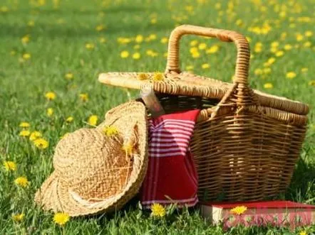 Ce să luați pentru un picnic la țară