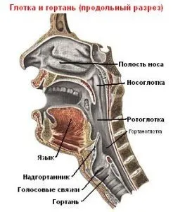 tratați