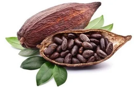 cacao