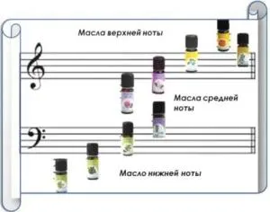 Care sunt mirosurile Clasificarea și notele aromelor.