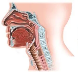 Codul de clasificare al faringitei acute conform ICD-10