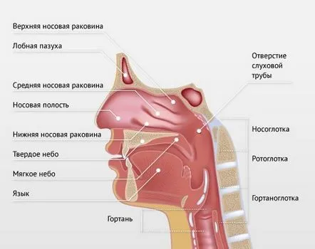 причини