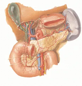 pancreasului