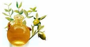 jojoba