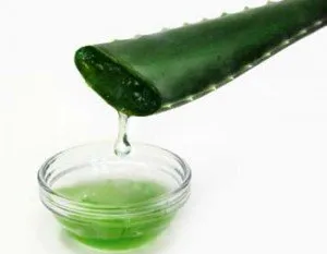 Utilizări și beneficii ale sucului de aloe pentru organism