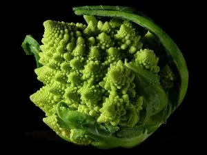 Cultivarea și îngrijirea verzei Romanesco