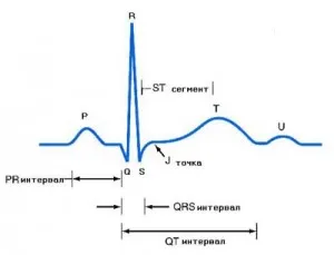 Ce înseamnă indicatorii ECG de ritm sinusal