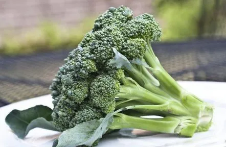 Care sunt beneficiile broccoli pentru corpul uman