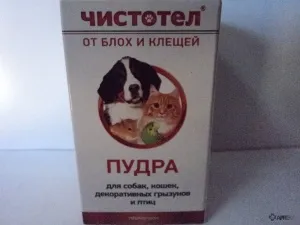 Змийското мляко (прах за бълхи) за кучета и котки, отзиви за употребата на наркотици за животни от