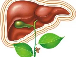 Sfaturi populare pentru sănătatea ficatului