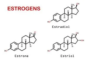 hormoni