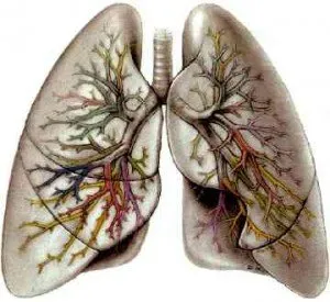 Cancerul pulmonar este o condamnare la moarte, un tratament popular eficient