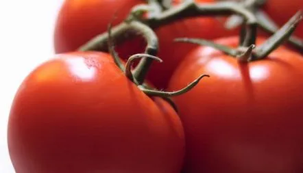 Descrierea soiului Tomato Wonder of the Market, caracteristici