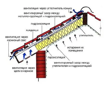 acoperișuri