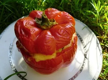 Ardei umpluți într-o rețetă de slow cooker, o rețetă culinară pas cu pas