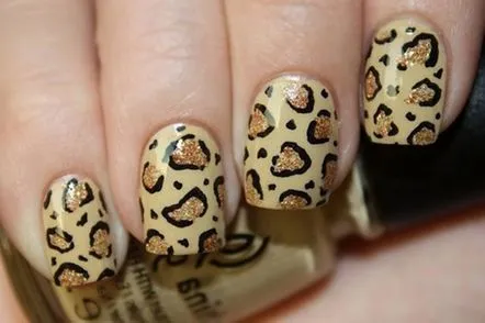 leopard