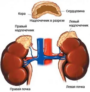 diagnostichează