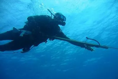 Ce să aleagă pentru vânătoare subacvatică - pușcă sau spearfishing arbaleta