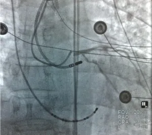 cardiologilor