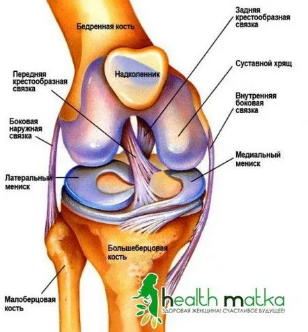 Metode de diagnostic și tratamentboli ale articulației genunchiului