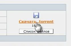 Ce este un fișier torrent