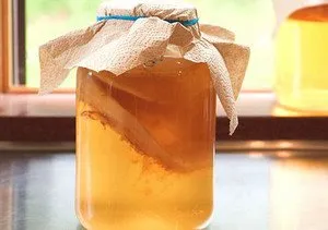 Două moduri simple de a crește kombucha acasă