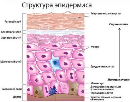 Cele mai eficiente metode de a elimina cicatricile