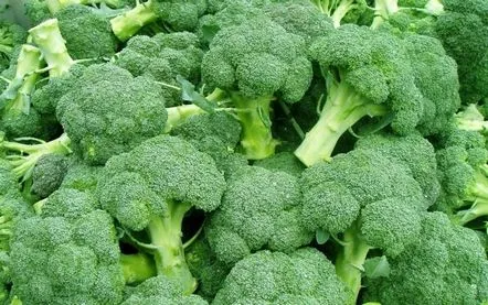 Răsaduri de conopidă și broccoli